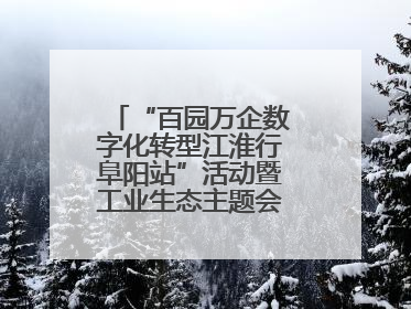 “百园万企数字化转型江淮行阜阳站”活动暨工业生态主题会议成功举办