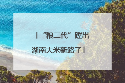 “粮二代”蹚出湖南大米新路子