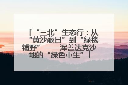 “三北”生态行：从“黄沙蔽日”到“绿毯铺野”——浑善达克沙地的“绿色重生”