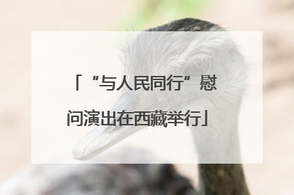 “与人民同行”慰问演出在西藏举行