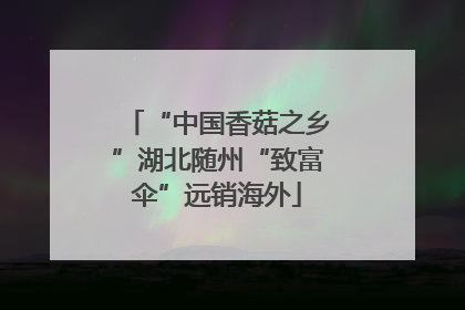 “中国香菇之乡”湖北随州“致富伞”远销海外