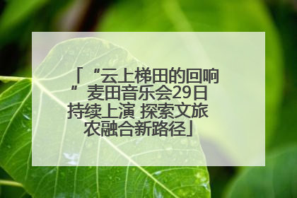 “云上梯田的回响”麦田音乐会29日持续上演 探索文旅农融合新路径