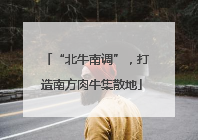“北牛南调”，打造南方肉牛集散地