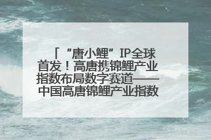 “唐小鲤”IP全球首发！高唐携锦鲤产业指数布局数字赛道——中国高唐锦鲤产业指数暨“唐小鲤”IP全球首发仪式在杭州举行