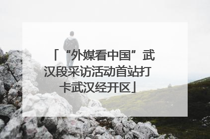 “外媒看中国”武汉段采访活动首站打卡武汉经开区