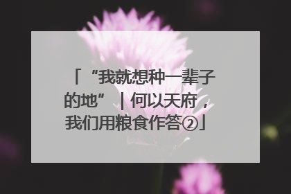 “我就想种一辈子的地”｜何以天府，我们用粮食作答②