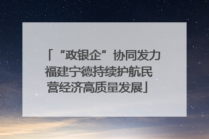 “政银企”协同发力 福建宁德持续护航民营经济高质量发展