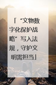 “文物数字化保护战略”写入法规，守护文明需担当