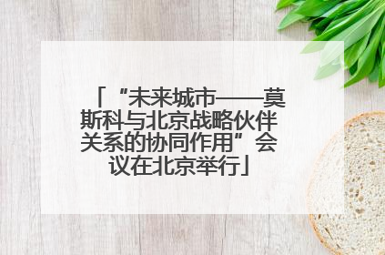 “未来城市——莫斯科与北京战略伙伴关系的协同作用”会议在北京举行