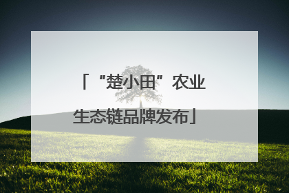 “楚小田”农业生态链品牌发布