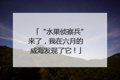 “水果侦察兵”来了，我在六月的威海发现了它！