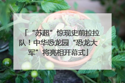 “苏超”惊现史前拉拉队！中华恐龙园“恐龙大军”将亮相开幕式