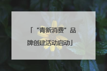 “青新消费”品牌创建活动启动