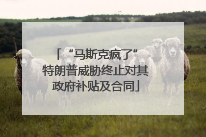 “马斯克疯了” 特朗普威胁终止对其政府补贴及合同