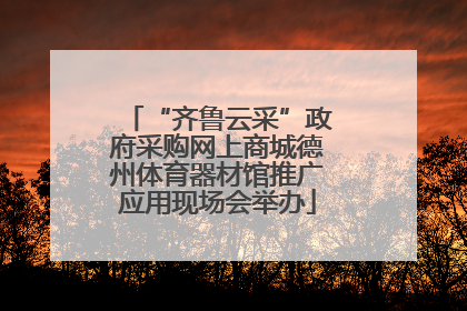 “齐鲁云采”政府采购网上商城德州体育器材馆推广应用现场会举办