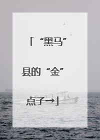 “黑马”县的“金”点子→