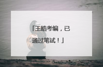王皓考编，已通过笔试！
