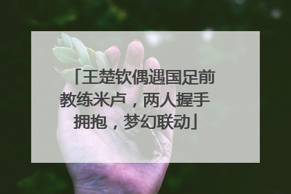 王楚钦偶遇国足前教练米卢，两人握手拥抱，梦幻联动