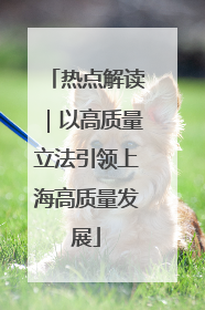 热点解读|以高质量立法引领上海高质量发展