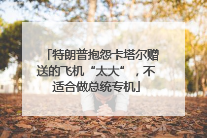 特朗普抱怨卡塔尔赠送的飞机“太大”，不适合做总统专机