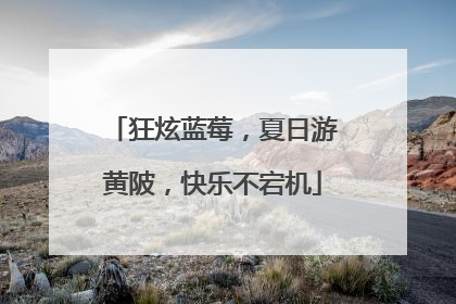 狂炫蓝莓，夏日游黄陂，快乐不宕机