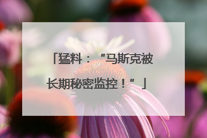 猛料：“马斯克被长期秘密监控！”