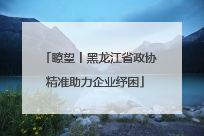 瞭望丨黑龙江省政协精准助力企业纾困