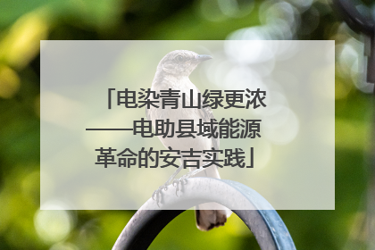 电染青山绿更浓——电助县域能源革命的安吉实践
