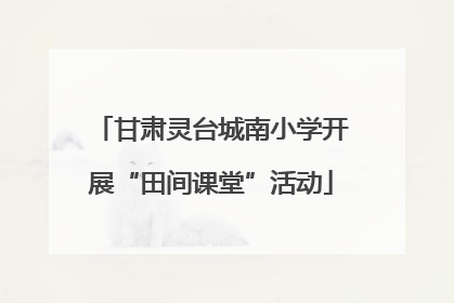甘肃灵台城南小学开展“田间课堂”活动