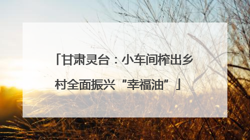 甘肃灵台：小车间榨出乡村全面振兴“幸福油”