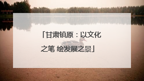 甘肃镇原：以文化之笔 绘发展之景