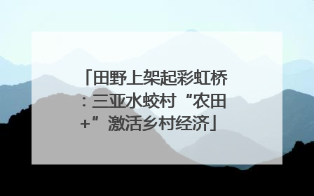 田野上架起彩虹桥：三亚水蛟村“农田+”激活乡村经济