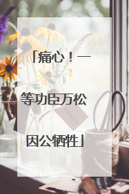 痛心！一等功臣万松因公牺牲