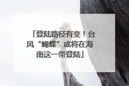 登陆路径有变！台风“蝴蝶”或将在海南这一带登陆