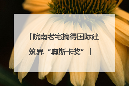 皖南老宅摘得国际建筑界“奥斯卡奖”