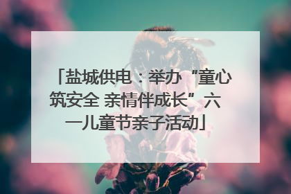 盐城供电：举办“童心筑安全 亲情伴成长”六一儿童节亲子活动