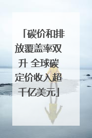碳价和排放覆盖率双升 全球碳定价收入超千亿美元