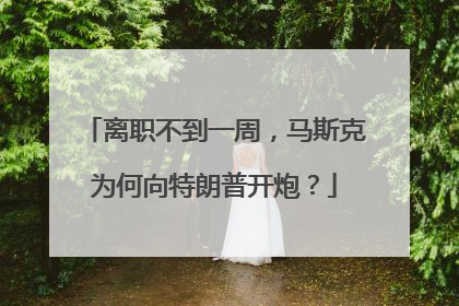 离职不到一周，马斯克为何向特朗普开炮？