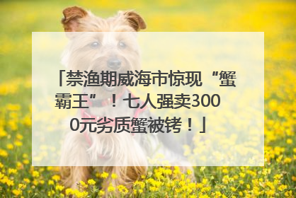禁渔期威海市惊现“蟹霸王”！七人强卖3000元劣质蟹被铐！
