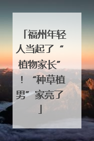 福州年轻人当起了“植物家长”！“种草植男”家亮了