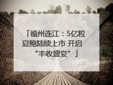 福州连江：5亿粒夏鲍陆续上市 开启“丰收盛宴”