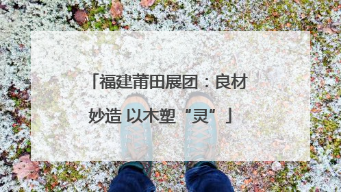 福建莆田展团：良材妙造 以木塑“灵”