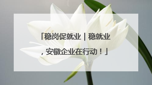 稳岗促就业｜稳就业，安徽企业在行动！