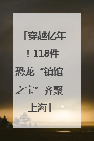穿越亿年！118件恐龙“镇馆之宝”齐聚上海