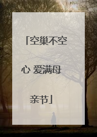 空巢不空心 爱满母亲节