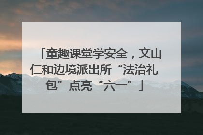 童趣课堂学安全，文山仁和边境派出所“法治礼包”点亮“六一”