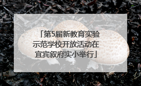 第5届新教育实验示范学校开放活动在宜宾叙府实小举行