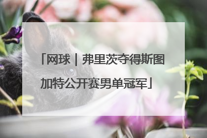 网球｜弗里茨夺得斯图加特公开赛男单冠军