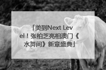 美到Next Level！张柏芝亮相澳门《水舞间》新章盛典
