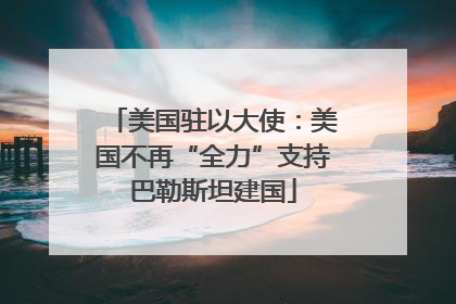 美国驻以大使：美国不再“全力”支持巴勒斯坦建国